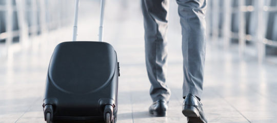valise