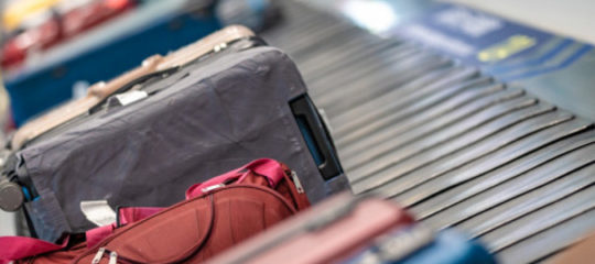 valise